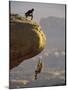 Climber Dangling-null-Mounted Photographic Print