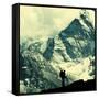 Climber in Himalayan Mountain,Ama Dablan,Nepal-Andrushko Galyna-Framed Stretched Canvas