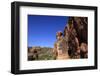 Climber on cliffs in the Cederberg mountains, Western Cape, South Africa, Africa-David Pickford-Framed Photographic Print