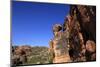 Climber on cliffs in the Cederberg mountains, Western Cape, South Africa, Africa-David Pickford-Mounted Photographic Print