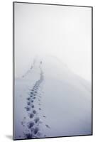 Climber on Domes des Miages, 3673m, Chamonix, Haute Savoie, Rhone Alpes, French Alps, France, Europ-Christian Kober-Mounted Photographic Print