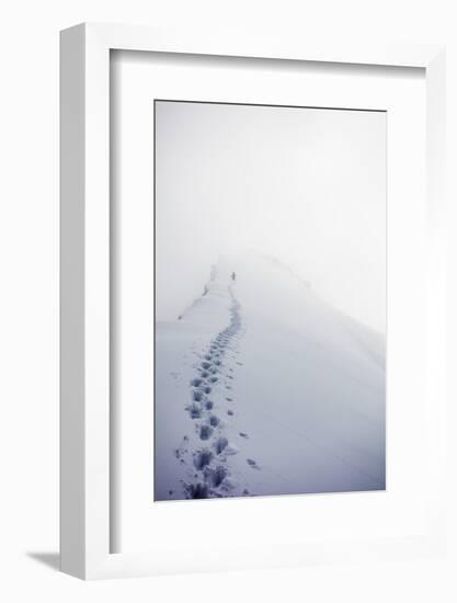 Climber on Domes des Miages, 3673m, Chamonix, Haute Savoie, Rhone Alpes, French Alps, France, Europ-Christian Kober-Framed Photographic Print