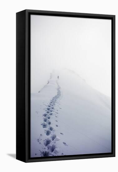 Climber on Domes des Miages, 3673m, Chamonix, Haute Savoie, Rhone Alpes, French Alps, France, Europ-Christian Kober-Framed Stretched Canvas