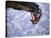 Climber on Edge of Rock, USA-Michael Brown-Stretched Canvas