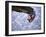 Climber on Edge of Rock, USA-Michael Brown-Framed Photographic Print