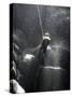 Climber Showered with Water in Cave, Mexico-Michael Brown-Stretched Canvas