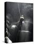 Climber Showered with Water in Cave, Mexico-Michael Brown-Stretched Canvas