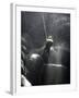 Climber Showered with Water in Cave, Mexico-Michael Brown-Framed Photographic Print