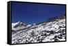 Climbers ascending Aconcagua, the highest mountain in the Americas and one of the Seven Summits-David Pickford-Framed Stretched Canvas