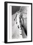 Climbers Ascending Mont Blanc, circa 1860-Bisson Freres Studio-Framed Giclee Print