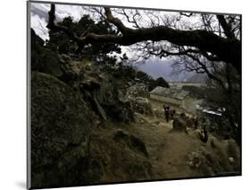 Climbers Hiking Through Small Mountain Village, Nepal-David D'angelo-Mounted Photographic Print