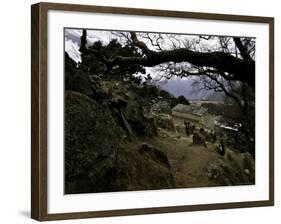 Climbers Hiking Through Small Mountain Village, Nepal-David D'angelo-Framed Photographic Print