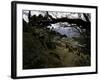 Climbers Hiking Through Small Mountain Village, Nepal-David D'angelo-Framed Photographic Print