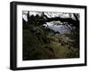 Climbers Hiking Through Small Mountain Village, Nepal-David D'angelo-Framed Photographic Print