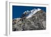 Climbers make their way to summit of Lobuche, 6119m peak in Khumbu (Everest), Nepal, Himalayas-Alex Treadway-Framed Premium Photographic Print