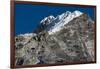 Climbers make their way to summit of Lobuche, 6119m peak in Khumbu (Everest), Nepal, Himalayas-Alex Treadway-Framed Photographic Print