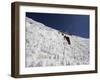 Climbers on An Ice Wall, Island Peak 6189M, Sagarmatha National Park, Himalayas-Christian Kober-Framed Photographic Print