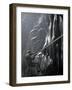 Climbers on Rock in Wet Cave, Mexico-Michael Brown-Framed Photographic Print