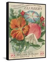 Climbers Seed Packet-Lantern Press-Framed Stretched Canvas