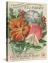 Climbers Seed Packet-Lantern Press-Stretched Canvas