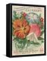 Climbers Seed Packet-Lantern Press-Framed Stretched Canvas