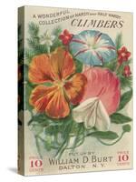 Climbers Seed Packet-Lantern Press-Stretched Canvas