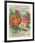 Climbers Seed Packet-Lantern Press-Framed Art Print