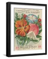 Climbers Seed Packet-Lantern Press-Framed Art Print