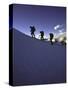 Climbers Silhouetted in Morning Sun, New Zealand-Michael Brown-Stretched Canvas