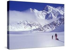 Climbers Ski Up the Kahiltna Glacier Towards Mount Mckinley-John Warburton-lee-Stretched Canvas