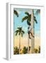 Climbing a Royal Palm, Cuba-null-Framed Art Print