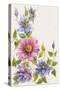 Climbing Clematis Flowers-ZPR Int’L-Stretched Canvas