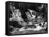 Climbing Dunn’S River Falls, Jamaica, C.1962-null-Framed Stretched Canvas