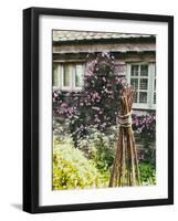 Climbing Flowers-Tim Kahane-Framed Photographic Print