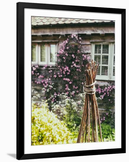 Climbing Flowers-Tim Kahane-Framed Photographic Print