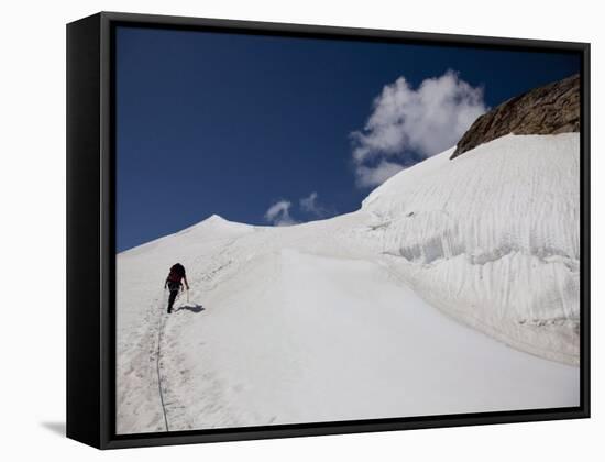 Climbing Mount Cevedale, 3769 M, Ortler Alps, South Tyrol, Italy, Europe-Carlo Morucchio-Framed Stretched Canvas