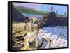 Climbing on the Rocks, St Ives-Andrew Macara-Framed Stretched Canvas