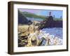 Climbing on the Rocks, St Ives-Andrew Macara-Framed Giclee Print