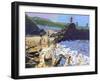 Climbing on the Rocks, St Ives-Andrew Macara-Framed Giclee Print