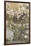 Climbing Roses, 1912-Michael Peter Ancher-Framed Giclee Print