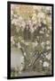 Climbing Roses, 1912-Michael Peter Ancher-Framed Giclee Print