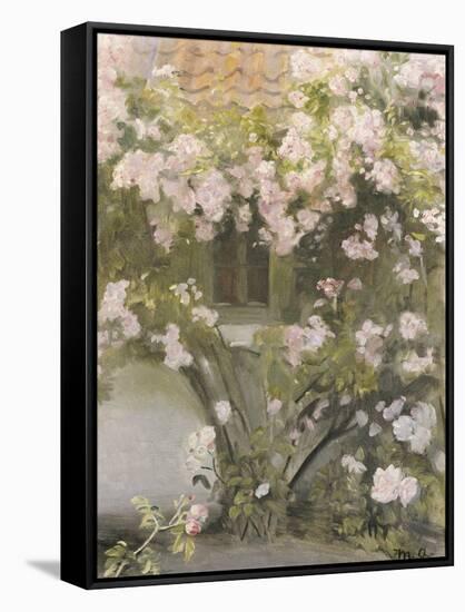 Climbing Roses, 1912-Michael Peter Ancher-Framed Stretched Canvas