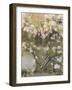 Climbing Roses, 1912-Michael Peter Ancher-Framed Giclee Print