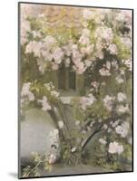 Climbing Roses, 1912-Michael Peter Ancher-Mounted Giclee Print