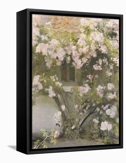 Climbing Roses, 1912-Michael Peter Ancher-Framed Stretched Canvas