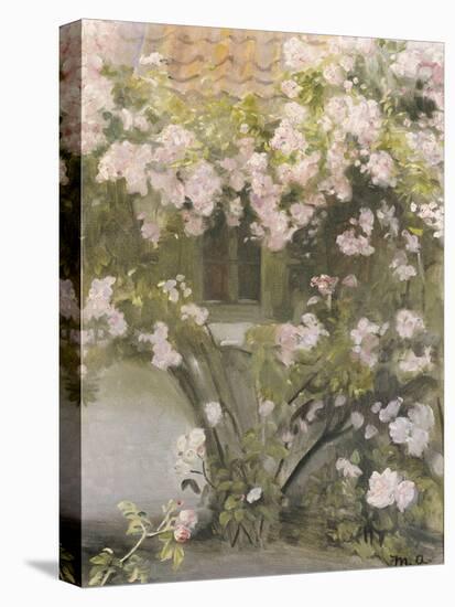 Climbing Roses, 1912-Michael Peter Ancher-Stretched Canvas