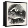 Climbing the Mont Blanc: Above the Grand Plateau: a Large Crevasse, Alps, French Alps, France, 1851-null-Framed Stretched Canvas