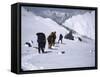 Climbing up Southside of Everest, Nepal-Michael Brown-Framed Stretched Canvas