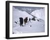 Climbing up Southside of Everest, Nepal-Michael Brown-Framed Photographic Print