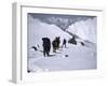 Climbing up Southside of Everest, Nepal-Michael Brown-Framed Photographic Print